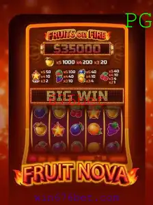 Explorando o Fascinante Mundo de FruitNova e a Plataforma 676bet